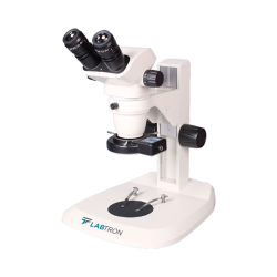 Microscope : Stereo Microscope